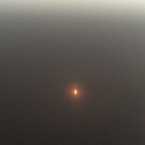 Meet your Posher, Abbie